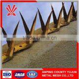 Professional manufacturer supply barbed wire mesh wall spike topping