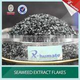 100% soluble Seaweed Extract For Plant Growth
