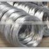 galvanized iron wire (factory)