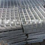 China Professional Cheap Aviary Welded Mesh Panel/20guage Steel Wire Mesh Panel