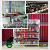 commerial durable multi-tier h type chicken broiler house design