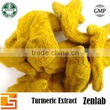 best selling products turmeric root extract with high turmeric finger specification