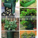 China Tarpaulin Factory Custom Made All Kinds of Tarpaulin ,pe Tarpaulin Sheet for Grow Bag