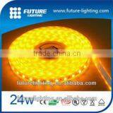 300 SMD 5050 LED Strip With IP65 Waterproof Led Flexible Strip