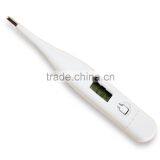 Digital Thermometer thumbnail-6