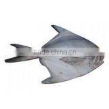 GRADE A Whole Round Frozen Golden/Black/silver Pomfret Fish Pomfret Fish thumbnail-1