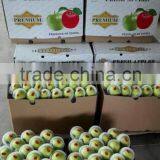 Green Gaga Apple thumbnail-2