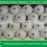 Golden Apple thumbnail-6