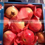 Fresh Pomegranate For Sale thumbnail-5