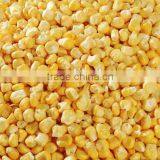 FD Freeze Dried Vegetables thumbnail-6