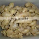 Fresh Air Dried Ginger thumbnail-4