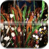 AF-7 PPS Spike Rice Flower Loose Artificial Flowers