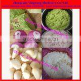Vegetable Garlic/ Ginger/ Pepper/ Onion Mash Making Machine thumbnail-4