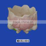 Ceramic Egg Cup thumbnail-1