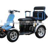 Electric Aged Bike thumbnail-1