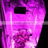 90W Full Spectrum COB Led Grow Light Panel Lamp Indoor Flower Veg Plant Yard Garden thumbnail-6