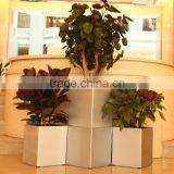 New Design Self-watering PP Container Gardening