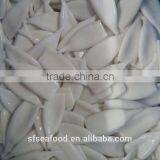 Squid Tube of Peru Giant Squid thumbnail-4