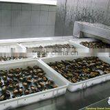 Frozen Seafood Half Shell Blue Mussel thumbnail-1