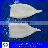 Frozen Squid Price thumbnail-1