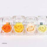 Hot Sale Natural Preserved Fresh Rose Flowers Multicolored Preserved Flower For Wedding Christmas Gift thumbnail-3