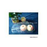 Sell Fruit Containers