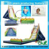 Ultimate New Giant Inflatable Pool Slide for Adult and Kids