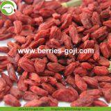 Factory Hot Sale Dried Himalayan Wolfberry thumbnail-1