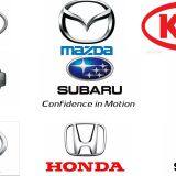 Jinan Ayumi Trading Co.,Ltd company overview - view 1 thumbnail