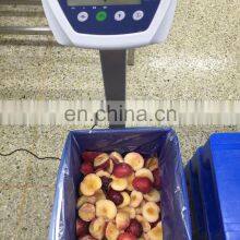 IQF Plum Halves Frozen for Plum Juice thumbnail-5