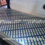 Film Faced Plywood/Phenolic Film Faced Shuttering Plywood thumbnail-2