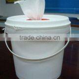 Antibacterial Wipes (OEM) thumbnail-1