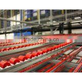 Warehouse Carton Flow Racking