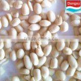Blanched Peanut Kernels 41/51