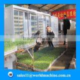 Hydroponic Systems Aeroponics Systems Sprouted Grains Machine thumbnail-1