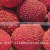 Canned Fresh Lychee in Syrup - 20 oz Tin (580ml x 12 Tins) thumbnail-1