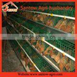 Chicken Use Welded Wire Chicken Layer Cages Rabbit Cage in Kenya Farm thumbnail-5