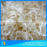 fresh frozen dried shredded squid seafood for sale