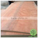 packing material shuttering plywood sheets plb veneer commercial plywood