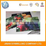 Double layer high quality 100% polyester digital print design place mat