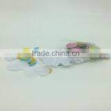Wholesale Free Shipping Tissue Paper Confetti