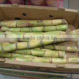 Frozen Sugarcane From VietNam QQ : 2598494113 thumbnail-2