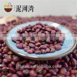 Crop 2013 Red cowpea beans