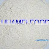 Horseradish Powder thumbnail-1