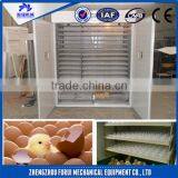 Professional Incubator for Egg in Japan Egg Incubator Sale thumbnail-1