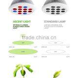 Advanced Plantinum Led Grow Lights 12w Full Spectrum Led Grow Lights 4 Leds 3red+blue Lamp for Flowerring thumbnail-5