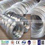Electro/Hot Dipped Galvanized Steel Wire Factory 1.0mm