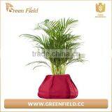 Nonwoven Fabric Grow Bag Planting Bag Polyester Vegetable Grow Bags thumbnail-2