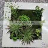 Indoor and Outdoor Artificial Succulent Plants Wall New Item Indoor Plant Wall thumbnail-6