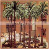 Pinnation Preserved Palm Trees at Different Height for Indoor Decoration thumbnail-1